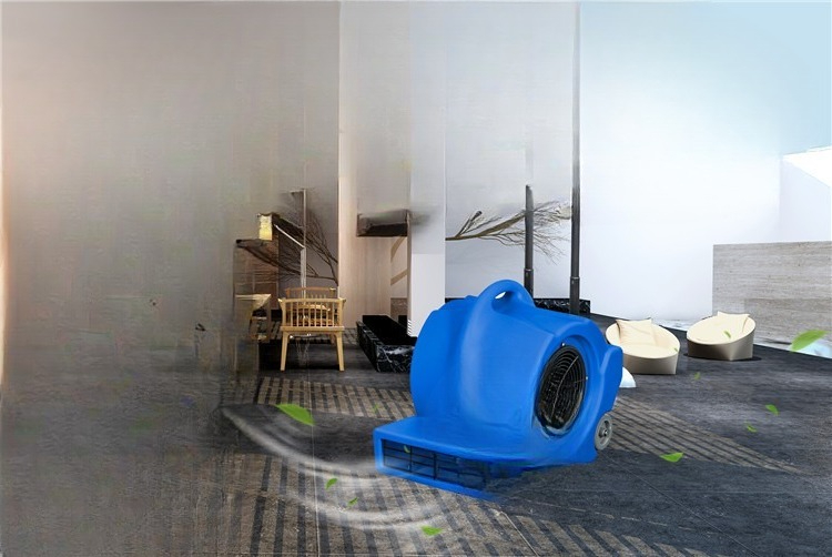 Pengering karpet mobile untuk  - Power Tools Mall ulasan dan harga